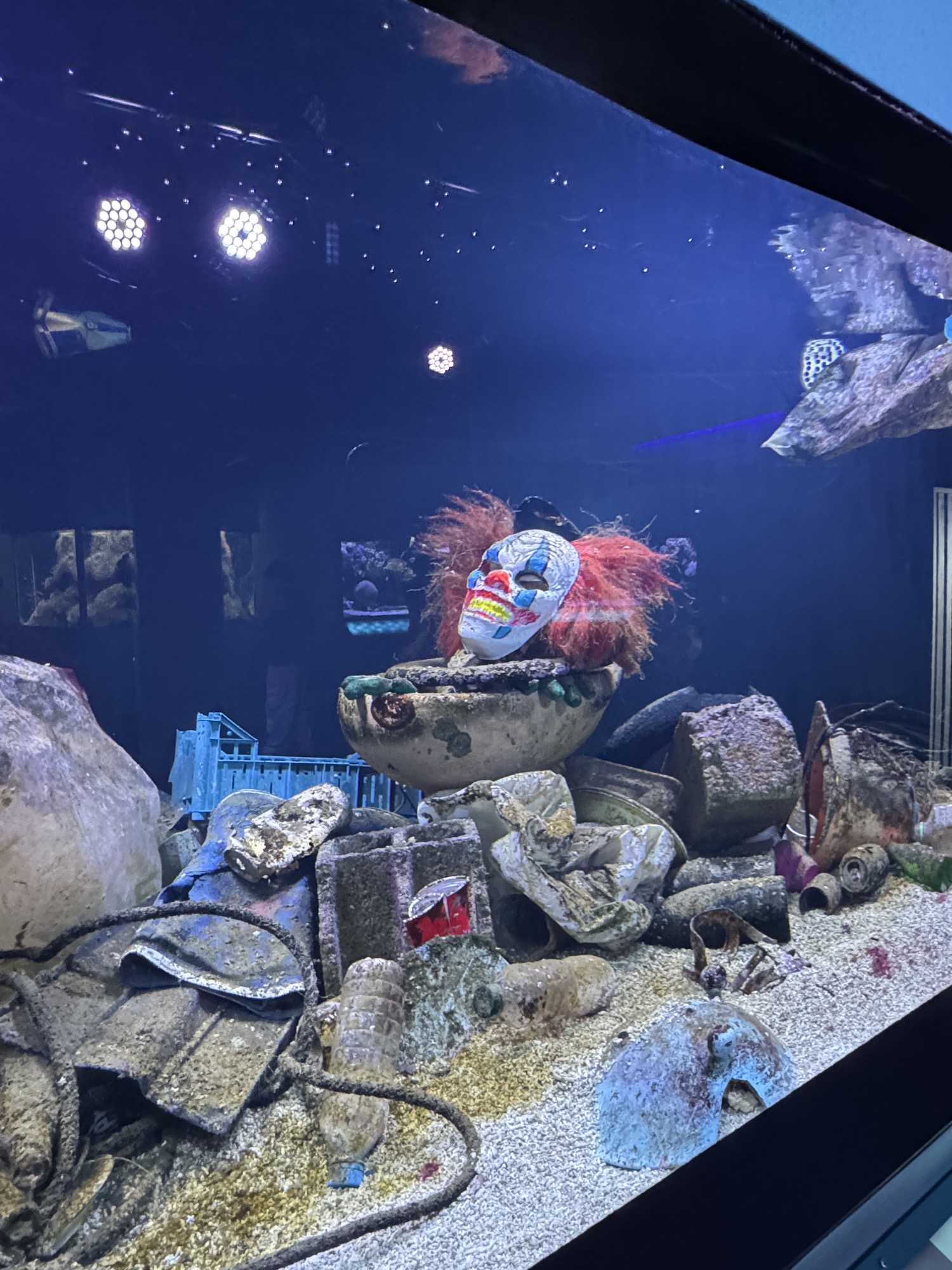 A marine aquarium whose entire hardscape is recovered ocean debris, with a rubber clown mask propped in a discarded sink