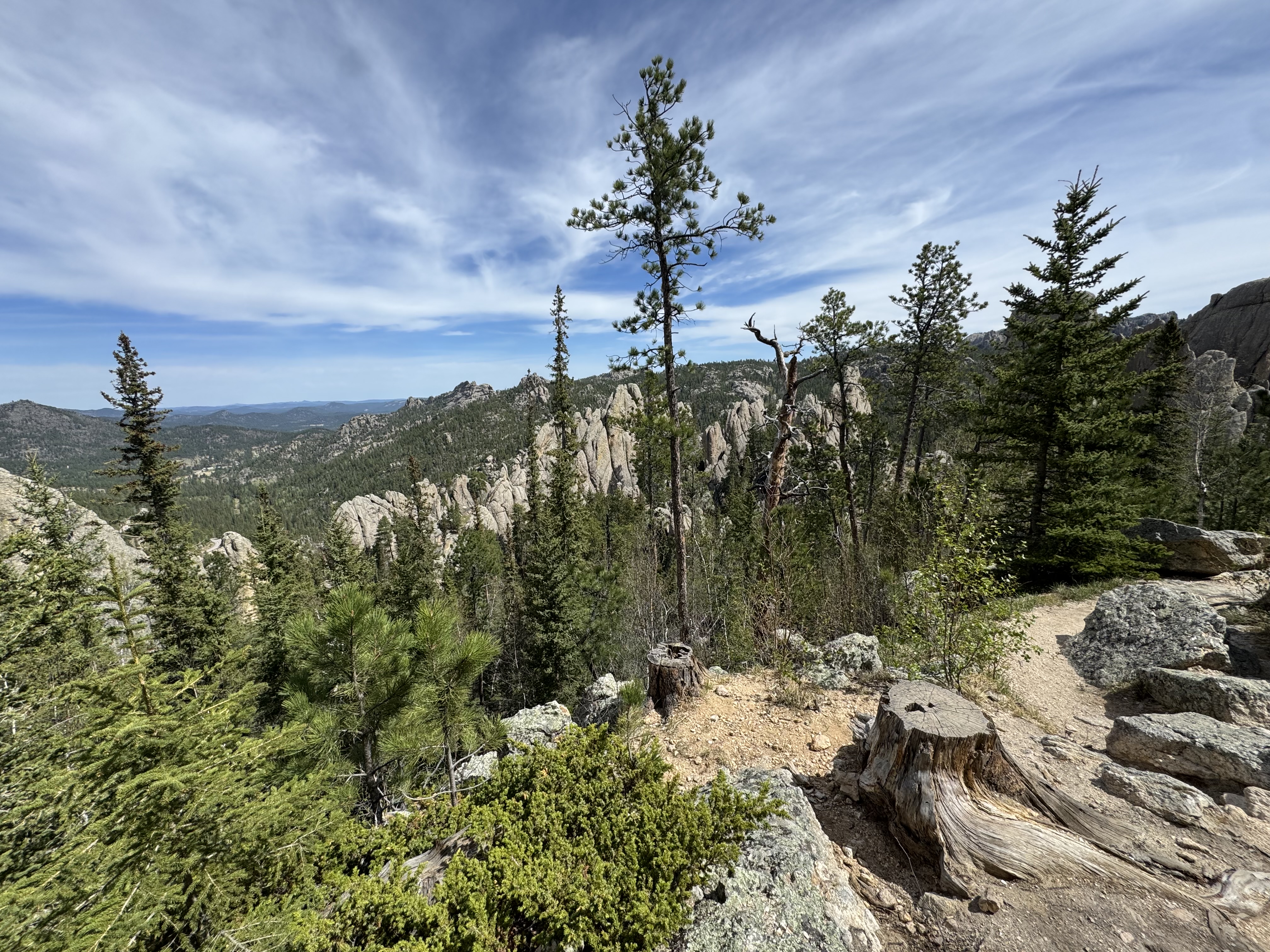 Granite canyon along the Sunday Gulch Trail at Sylvan Lake in Custer State Park, Black Hills, South Dakota